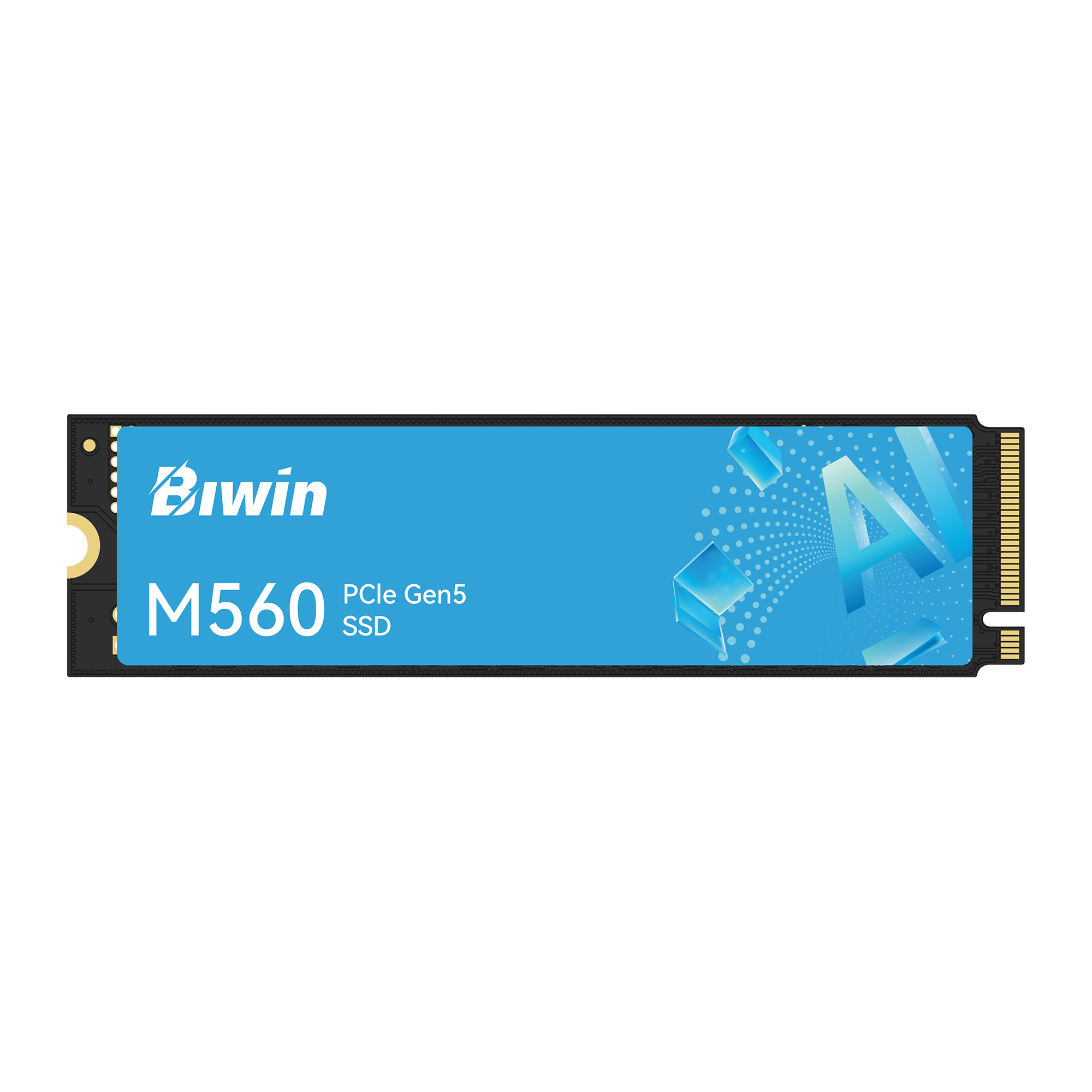 Biwin M560 PCIe 5.0 SSD: 11,000 MB/s Read, Single-Sided M.2 Design